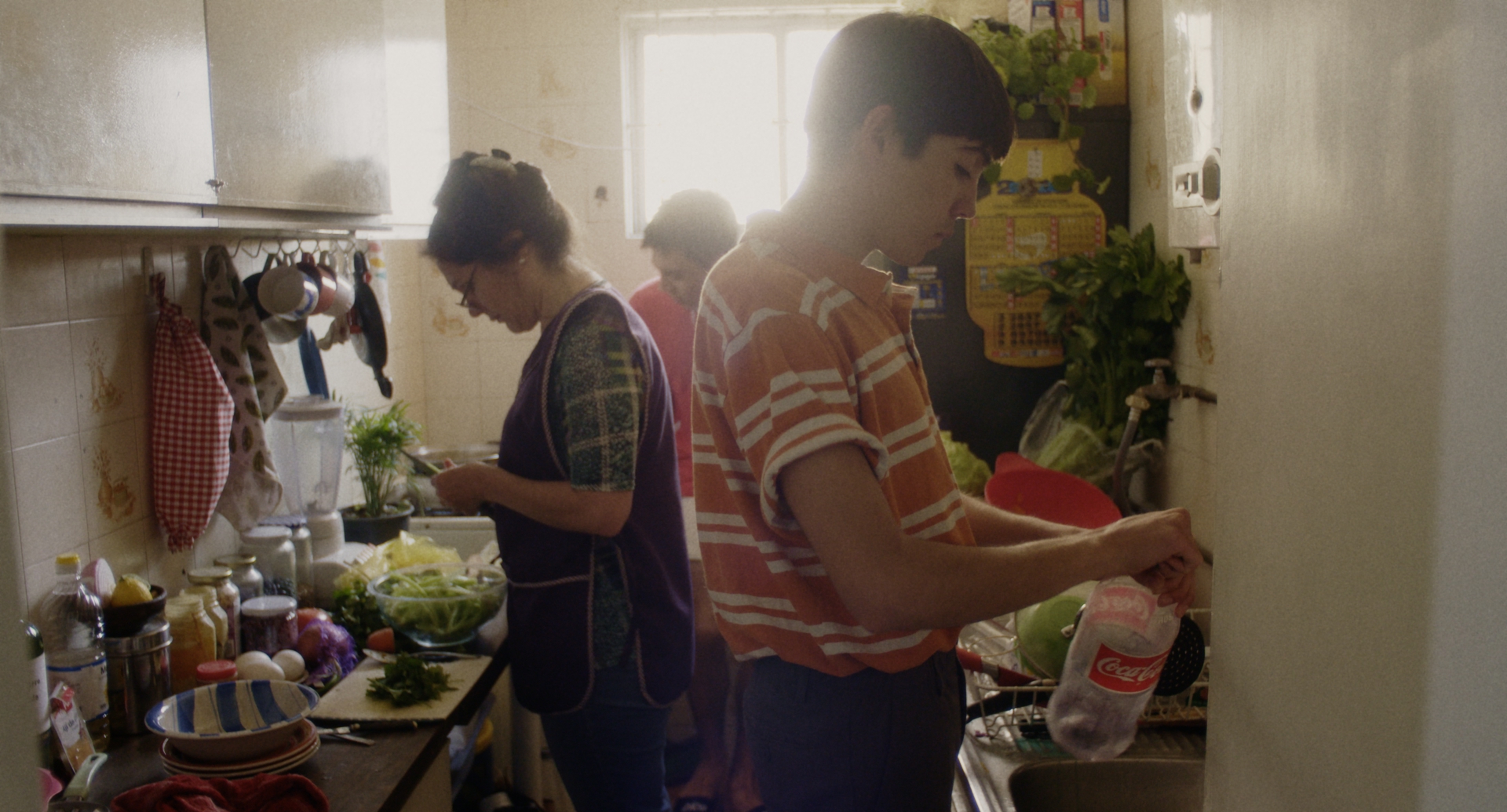 見果てぬ愛の物語｜チリ共和国