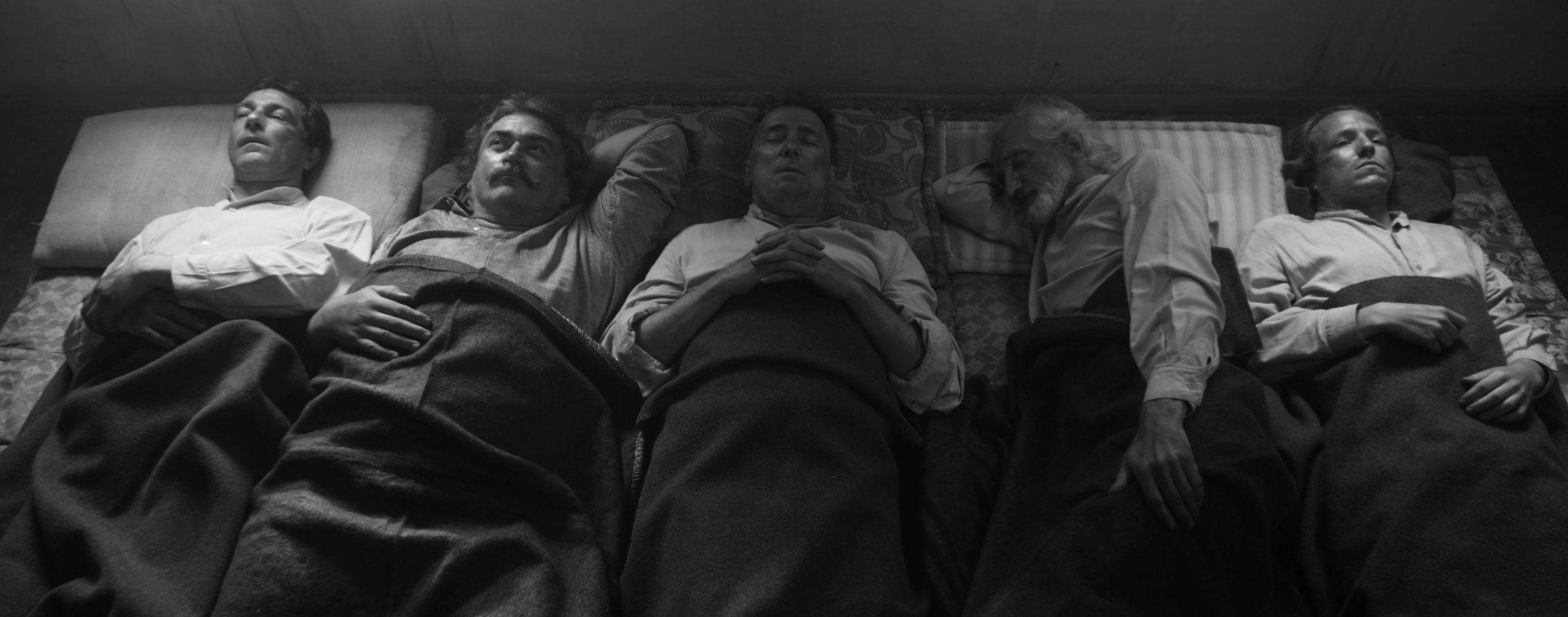 トイナー博士｜チェコ共和国